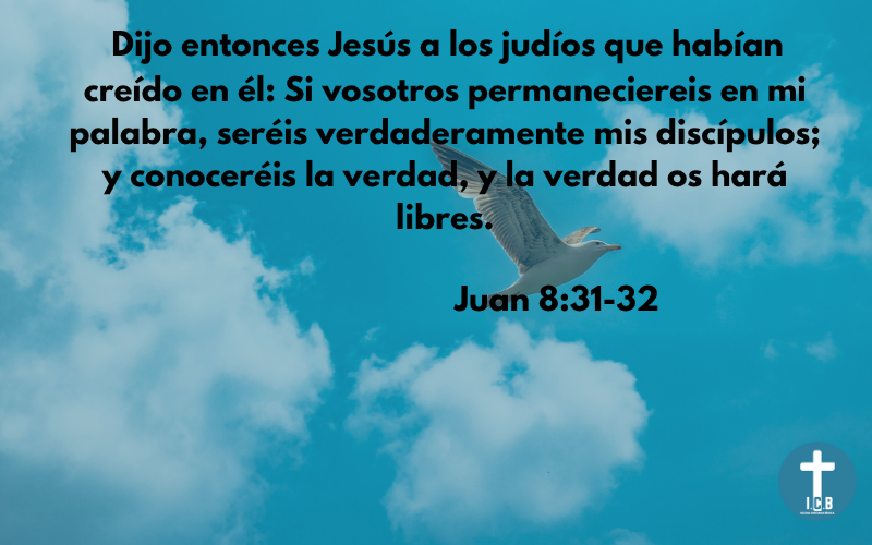 En busca de la verdad