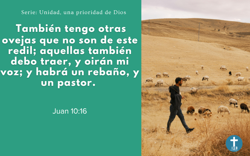 Un pastor y un rebaño